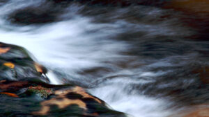 Přečtete si více ze článku Labská rebelie