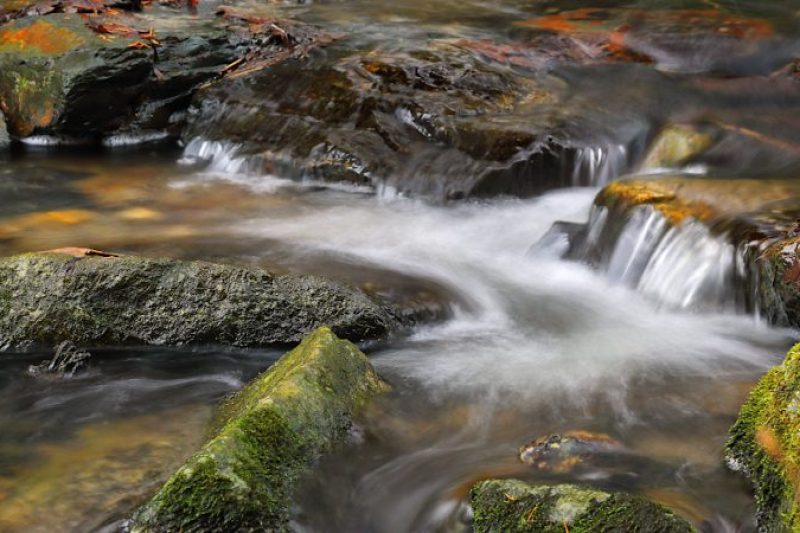Račinka (Velké Losiny)