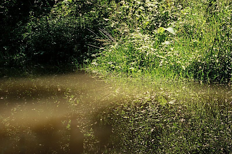 Jezírko (Žeravice, Přerov)